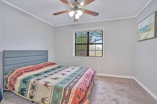 13713 WALDEN SHEFFIELD ROAD, Dover, FL 33527