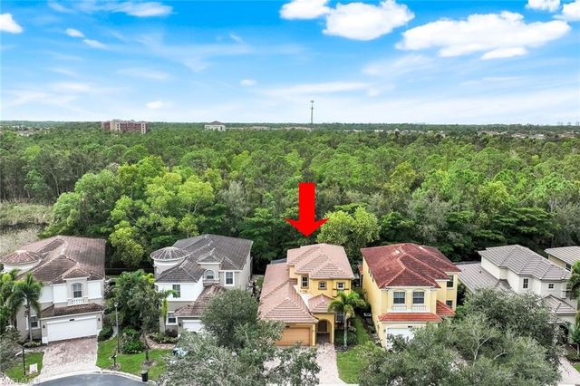 10253 S Silver Palm DR, Estero, FL 33928