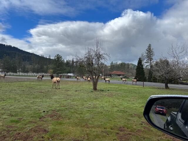 543 Serenity Lane, Grants Pass, OR 97526