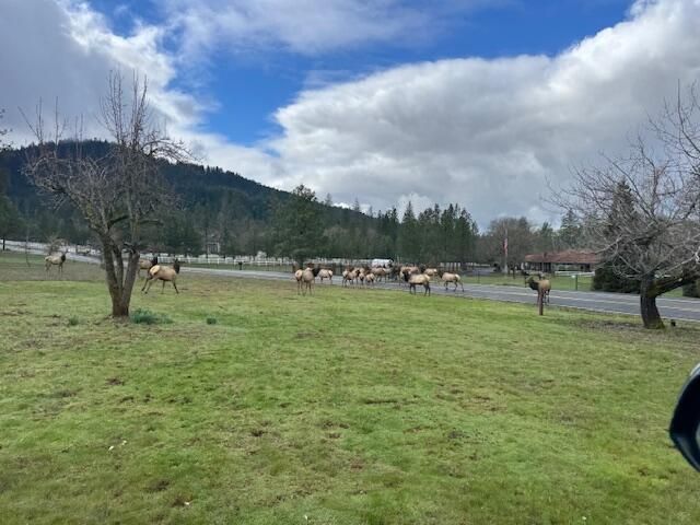 543 Serenity Lane, Grants Pass, OR 97526