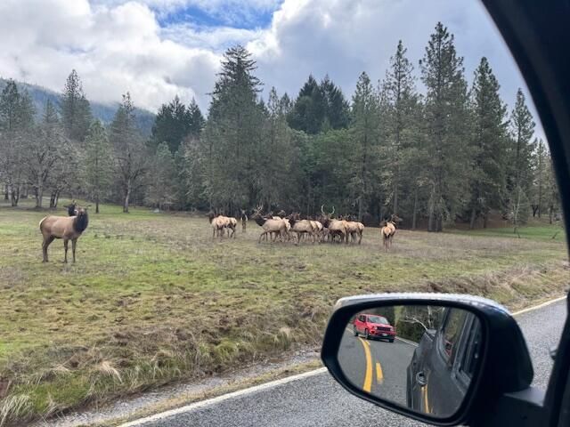 543 Serenity Lane, Grants Pass, OR 97526