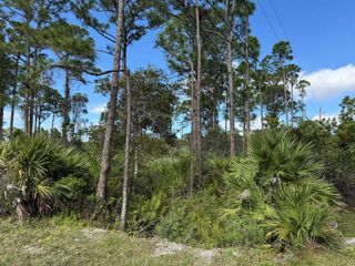 0 Tree Top Trail, Fort Pierce, FL 34951