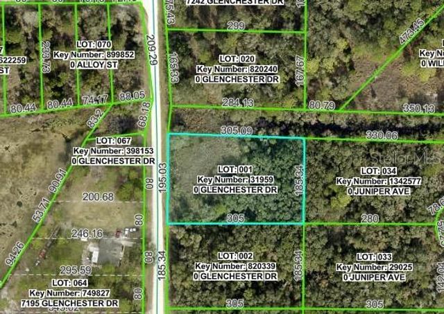 7222 GLENCHESTER DRIVE, Webster, FL 33597