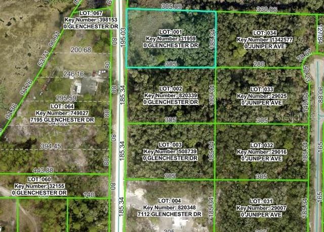 7222 GLENCHESTER DRIVE, Webster, FL 33597