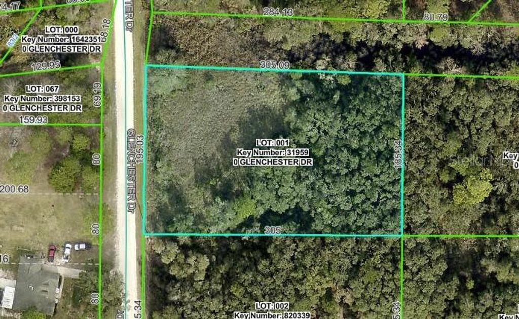 7222 GLENCHESTER DRIVE, Webster, FL 33597