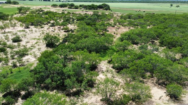 16293 Fm 472, Bigfoot, TX 78016