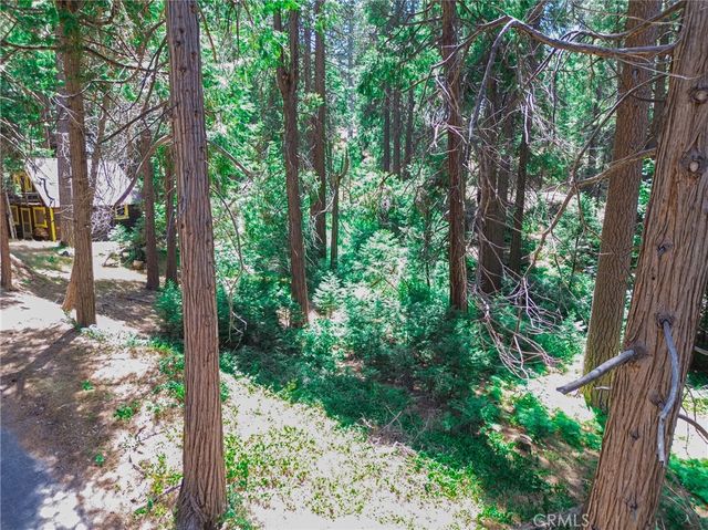 590 Electra Drive, Crestline, CA 92325