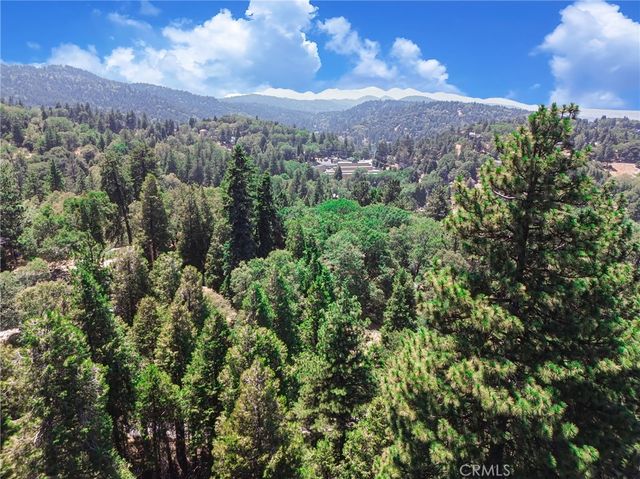590 Electra Drive, Crestline, CA 92325