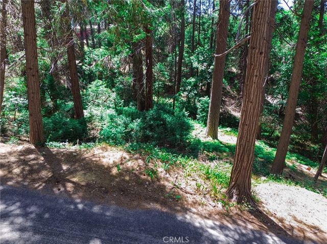 590 Electra Drive, Crestline, CA 92325