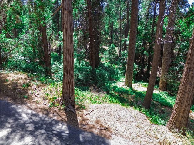 590 Electra Drive, Crestline, CA 92325