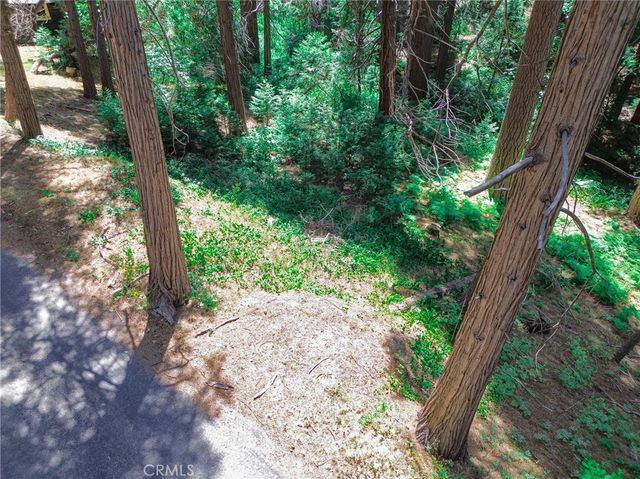 590 Electra Drive, Crestline, CA 92325