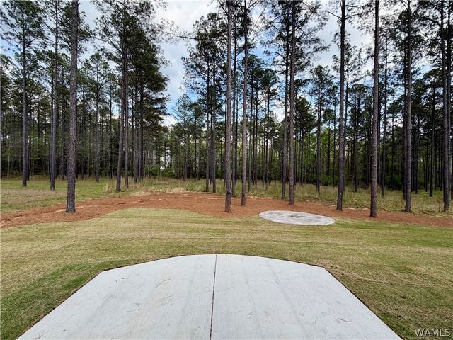 14267 Watercolor, Northport, AL 35475