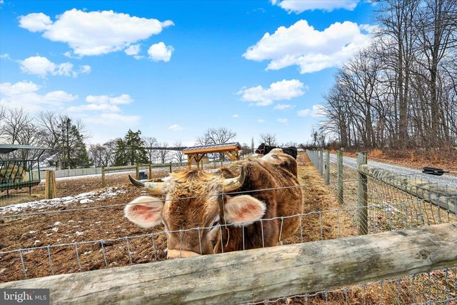 8272 WOODBINE RD, Airville, PA 17302