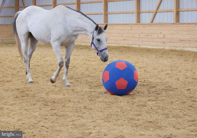 8272 WOODBINE RD, Airville, PA 17302