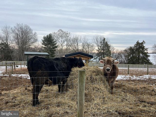 8272 WOODBINE RD, Airville, PA 17302