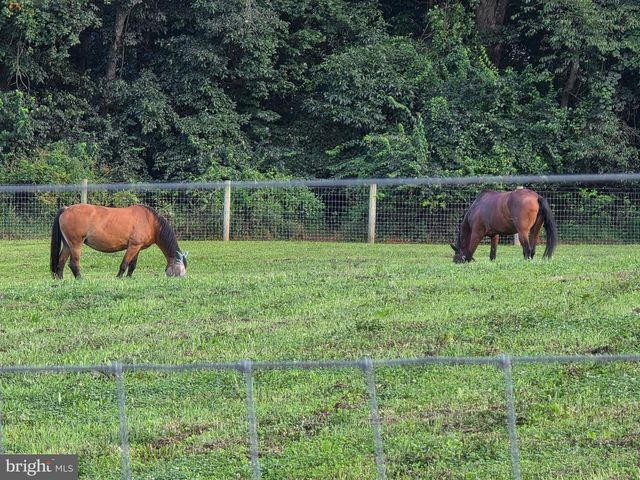 8272 WOODBINE RD, Airville, PA 17302