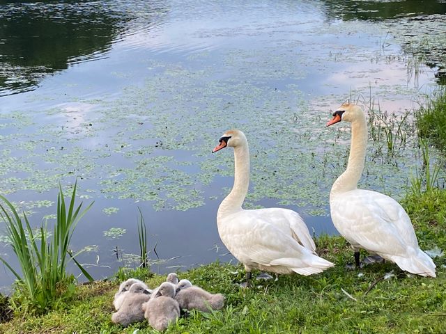 2 South Meadows 2, Woodbury, CT 06798