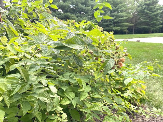 15896 N Gray Road, Noblesville, IN 46062