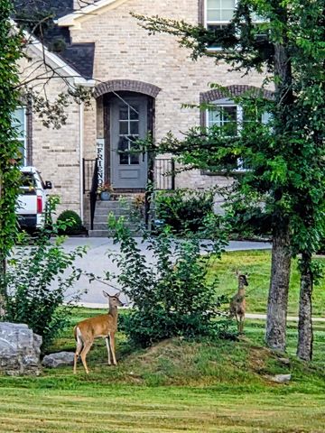 120 Watermill Ln, Lebanon, TN 37087