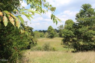 Tbd Chestnut Ridge Road, Chilhowie, VA 24319