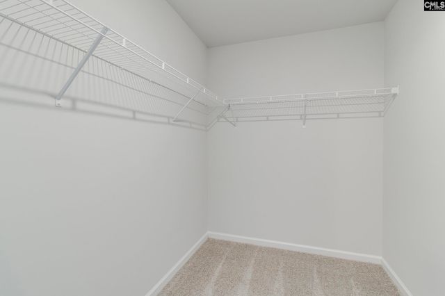 3942 Golden Crane Pass, Lexington, SC 29073