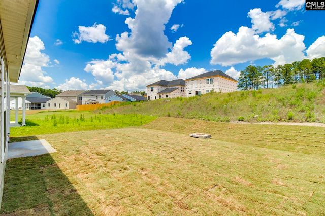 3942 Golden Crane Pass, Lexington, SC 29073