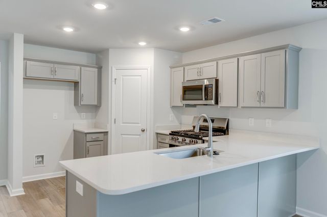 3942 Golden Crane Pass, Lexington, SC 29073