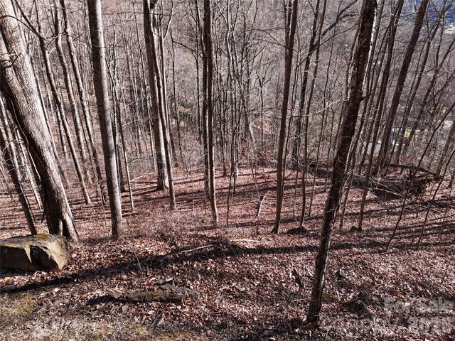 0000 Greenview Drive, Maggie Valley, NC 28751