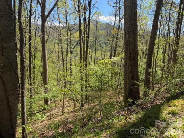0000 Greenview Drive, Maggie Valley, NC 28751