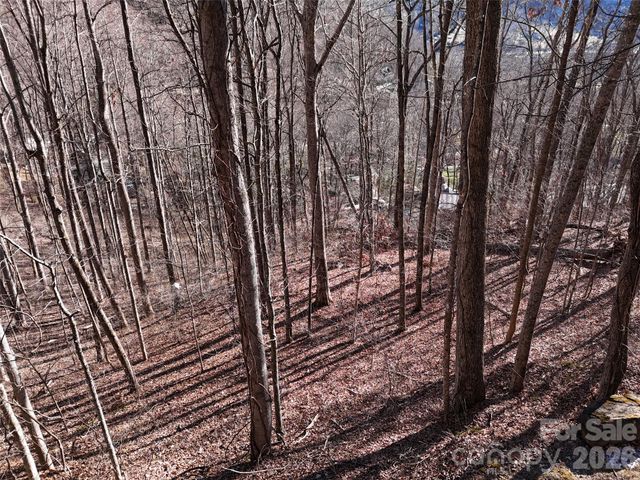 0000 Greenview Drive, Maggie Valley, NC 28751