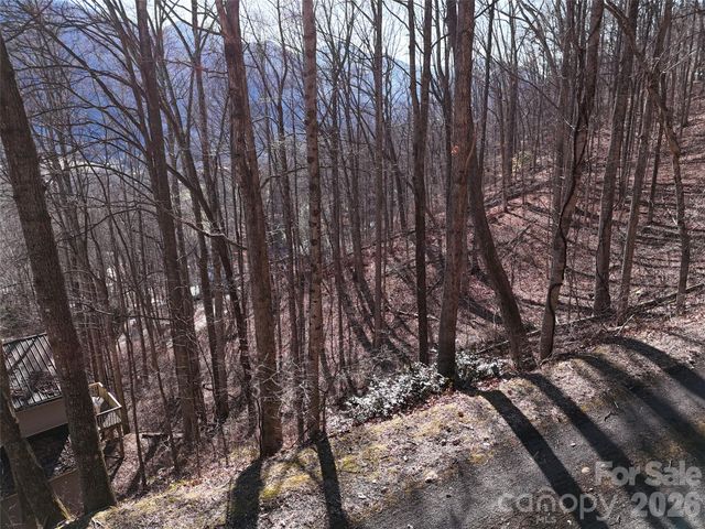 0000 Greenview Drive, Maggie Valley, NC 28751