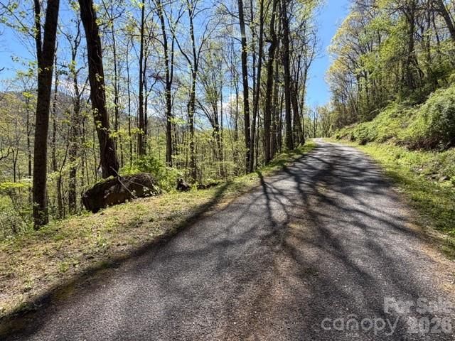 0000 Greenview Drive, Maggie Valley, NC 28751
