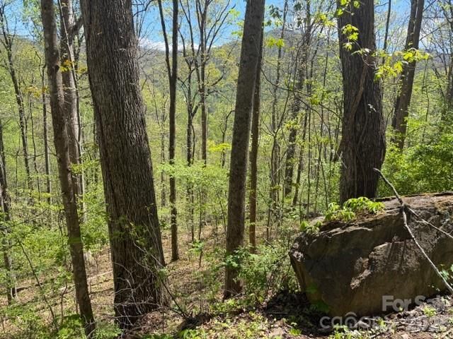 0000 Greenview Drive, Maggie Valley, NC 28751