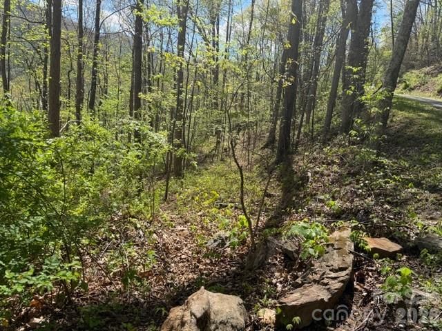 0000 Greenview Drive, Maggie Valley, NC 28751