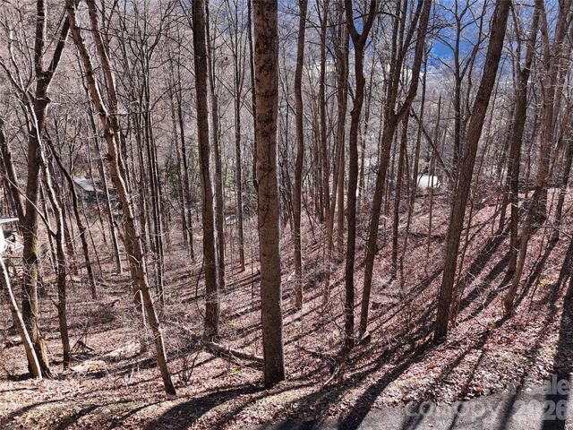 0000 Greenview Drive, Maggie Valley, NC 28751
