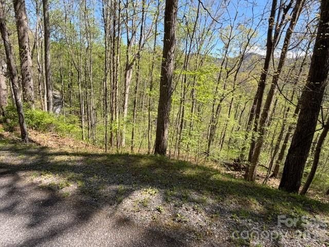 0000 Greenview Drive, Maggie Valley, NC 28751