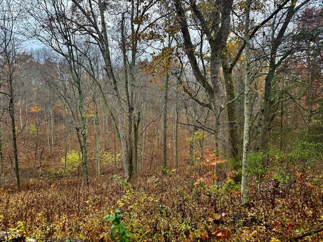 530 Rankin Mill Road, Falmouth, KY 41040