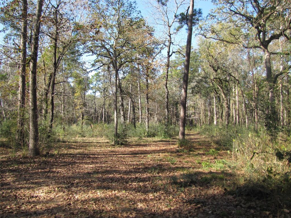 32602 Dogwood Trail, Magnolia, TX 77355