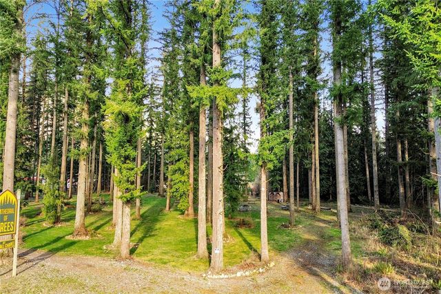 0 Mt Baker Highway, Deming, WA 98244