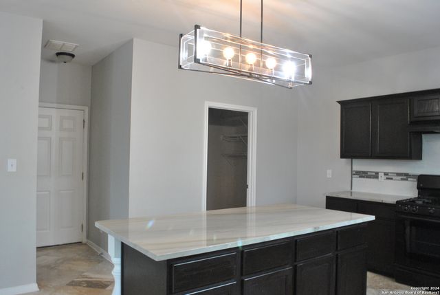 20731 MEANDERING CIR, San Antonio, TX 78258