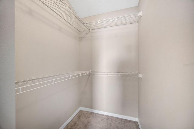 4017 WATERVILLE AVENUE, Wesley Chapel, FL 33543