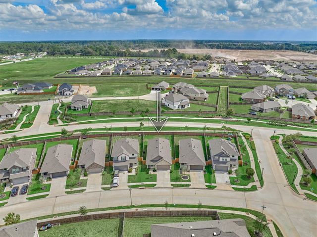 20010 Sienna Green Drive, Hockley, TX 77447