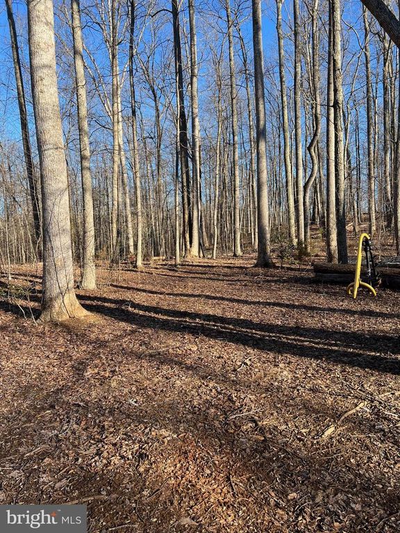 14285 WOODS VIEW LN, Reva, VA 22735