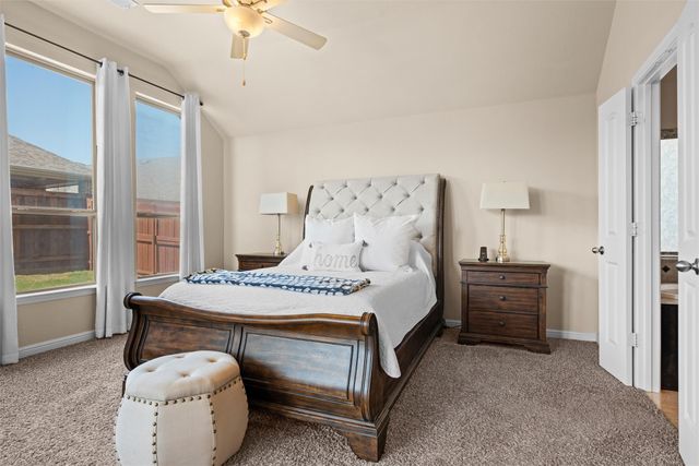 920 Goldenmist Drive, Little Elm, TX 75068