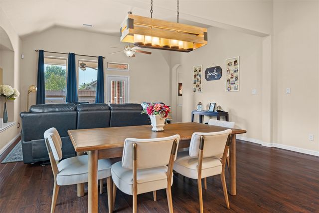 920 Goldenmist Drive, Little Elm, TX 75068