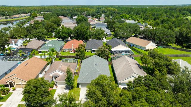 4517 WILD PLUM LANE, Lutz, FL 33558