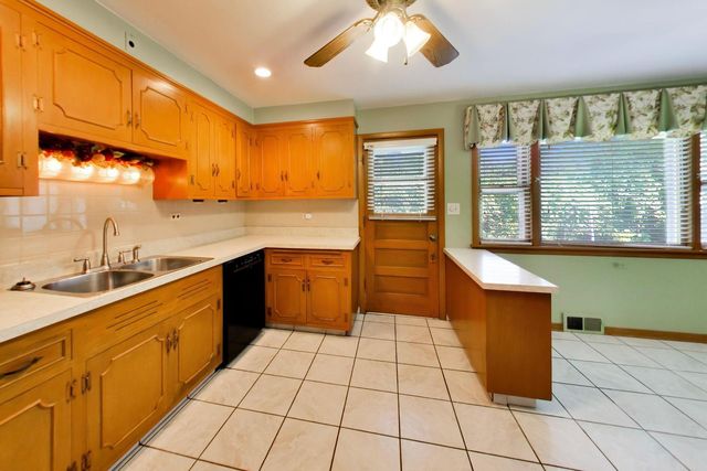 1201 S Lincoln Avenue, Park Ridge, IL 60068