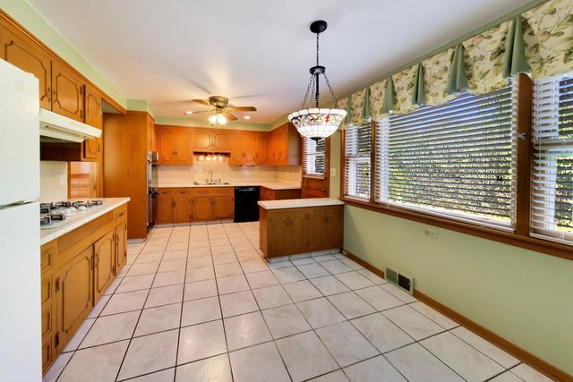 1201 S Lincoln Avenue, Park Ridge, IL 60068