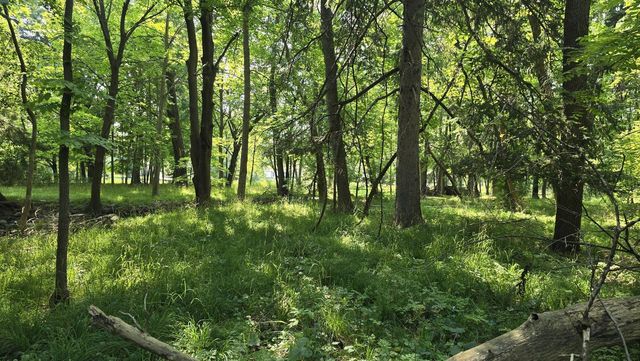 2902 S 124th STREET, West Allis, WI 53227