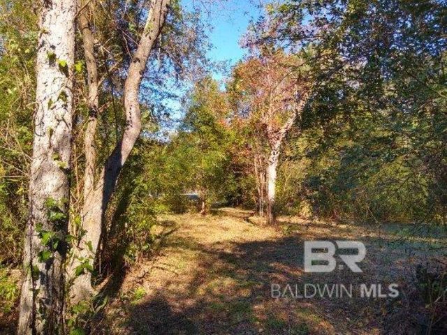0 New Era Road, Fairhope, AL 36532